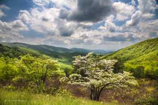 Along the Skyline Parkway-8889.jpg